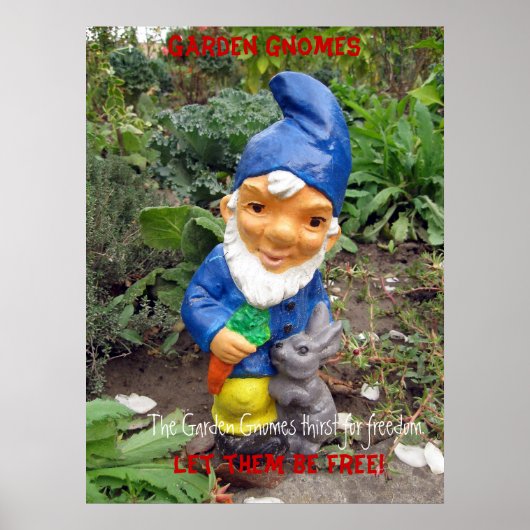 Gratis Garden gnomen Poster (Voorkant)