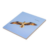 Gratis Osprey kunst Tegeltje (Zijkant)