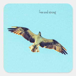 Gratis Osprey kunst Vierkante Sticker
