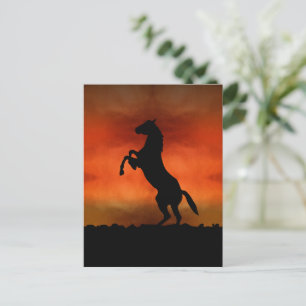 Gratis Paard Bij Zonsondergang Briefkaart