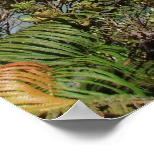 Gratis Poster (Hoek)