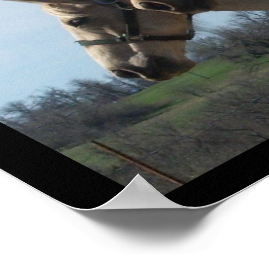 Gratis Poster van Horse Lover - Groot (Hoek)