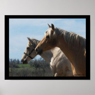 Gratis Poster van Horse Lover - Groot