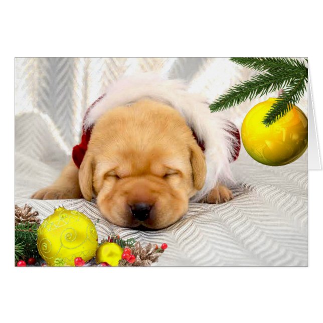 Gratis week 2 Geel (Voorkant Horizontaal)