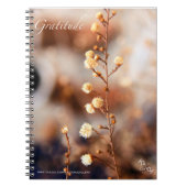 GRATITUDE - CARNETS (Devant)