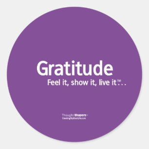 Gratitude-denkende Shapers™-stickers Ronde Sticker