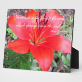 Gratitude Lilie Fotoplaat (Zijkant)