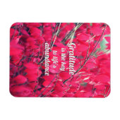 Gratitude Magneet (Horizontaal)