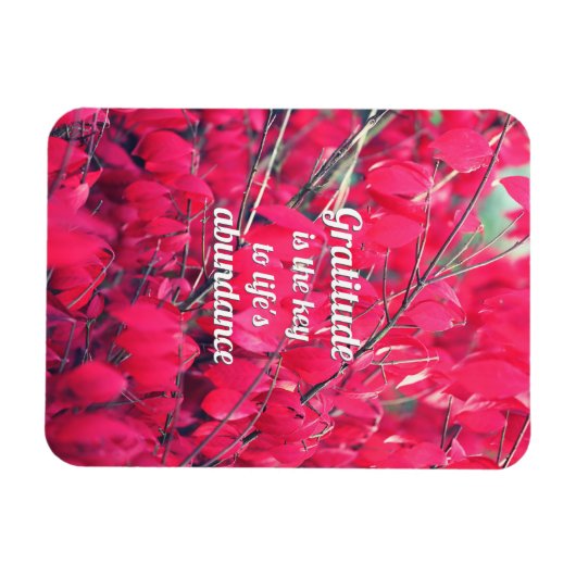 Gratitude Magneet (Horizontaal)