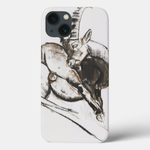 Grattarsi iPhone 13 Hoesje