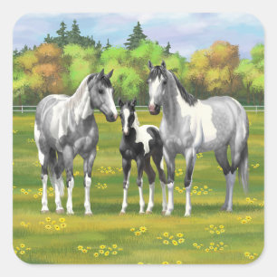 Grauwe dappel verfpaarden in zomerdeeg vierkante sticker