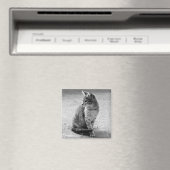 Grauwe kat Magnet Magneet (Insitu (Vaatwasser))