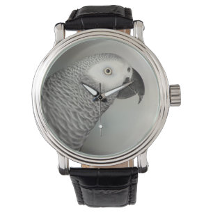 Grauwe papegaai horloge