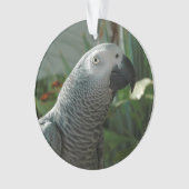 Grauwe papegaai ornament (voorkant)