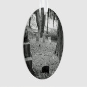 Grave oubliée (devant)