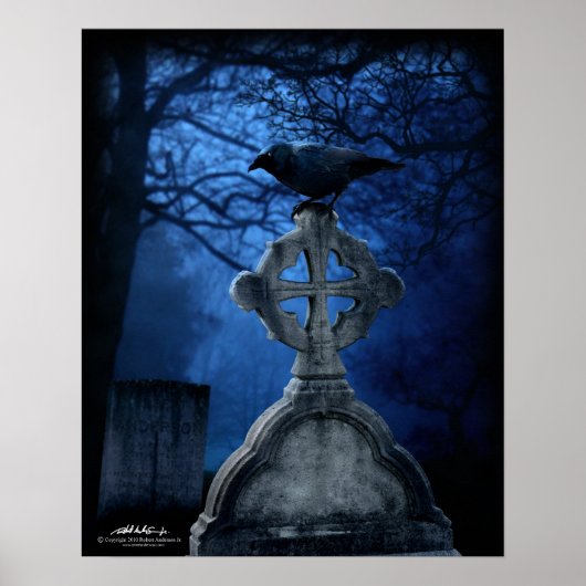 Grave Raven 16 x 20 Poster (Voorkant)
