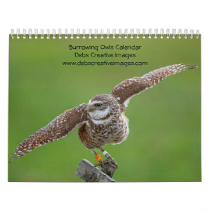 Graveuil 2026 kalender