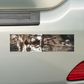 Graveyard Girls #2 Bumpersticker (Op auto)