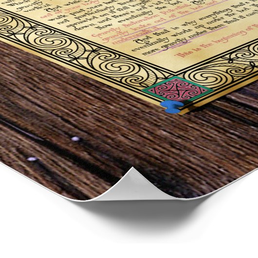 Gravité de chat - Imprimer ou poster (Coin)