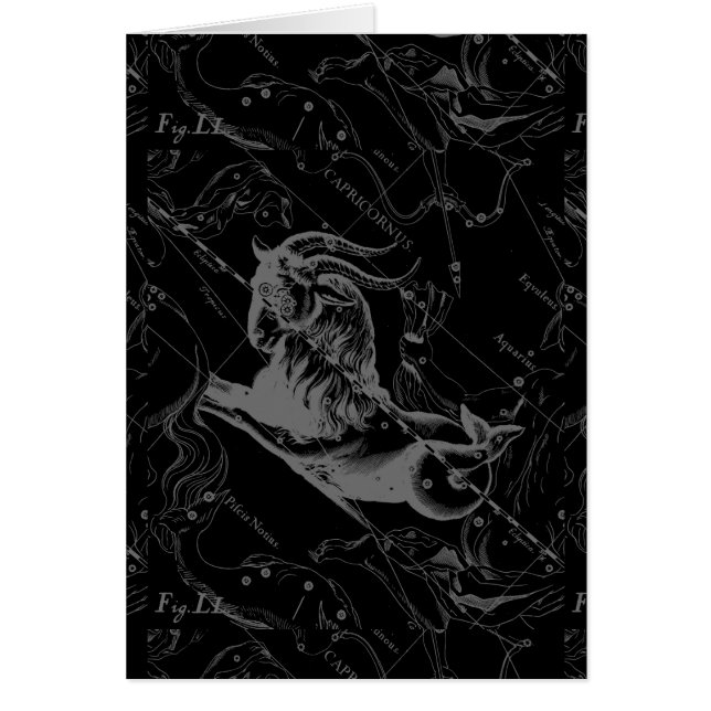 Gravure de Hevelius de carte de constellation de (Devant)