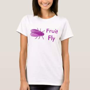 Gravure de mouche d'antiquité de T-shirt de mouch