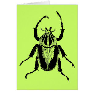 Gravure du bois vintage d'insecte d'insecte de