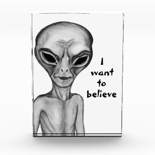 Gray Alien, ik wil geloven Fotoblokken