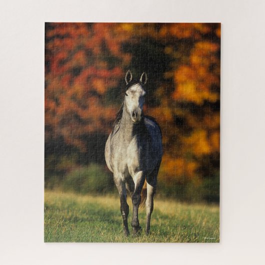 Gray Arab Standing Autumnal Background Legpuzzel (Verticaal)