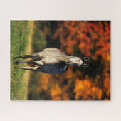 Gray Arab Standing Autumnal Background Legpuzzel (Horizontaal)