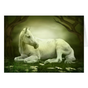 Gray Arabian Horse