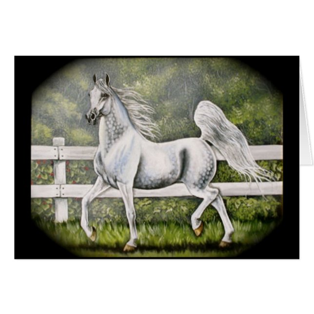 Gray Arabian Horse (Voorkant Horizontaal)