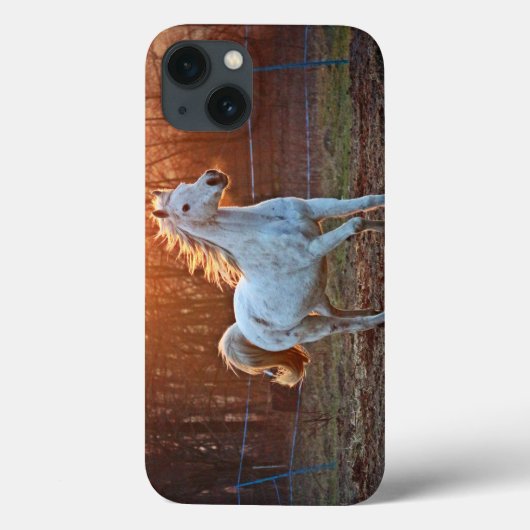 Gray Arabian Horse Case-Mate iPhone Case (Achterkant)