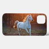 Gray Arabian Horse Case-Mate iPhone Case (Achterkant (horizontaal))