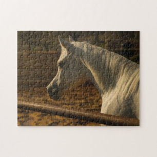 Gray Arabian Horse Legpuzzel