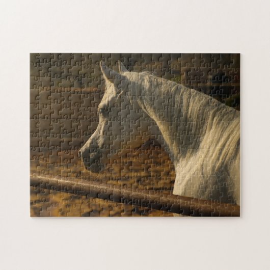 Gray Arabian Horse Legpuzzel (Horizontaal)