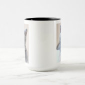 Gray British Shorthair Cat Mok (Midden)