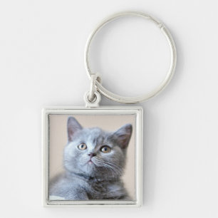 Gray British Shorthair Cat Sleutelhanger