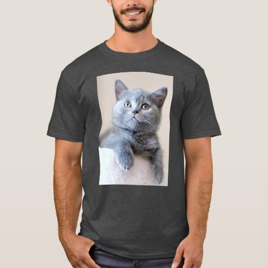 Gray British Shorthair Cat T-shirt (Voorkant)