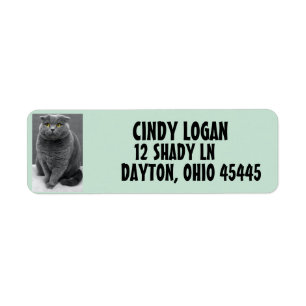 GRAY CAT CUTE Return Address Label