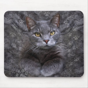 Gray Cat Portrait Muismat