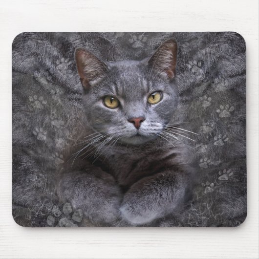 Gray Cat Portrait Muismat (Voorkant)