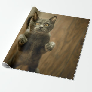 GRAY CAT STANDING IN TWEE FEET CADEAUPAPIER