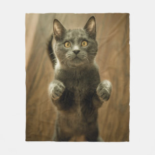 GRAY CAT STANDING IN TWEE FEET FLEECE DEKEN
