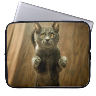 GRAY CAT STANDING IN TWEE FEET LAPTOP SLEEVE