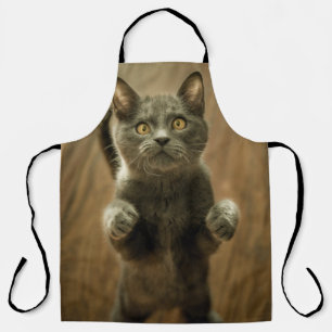 GRAY CAT STANDING IN TWEE FEET SCHORT
