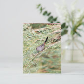 Gray Catbird Briefkaart (Staand voorkant)