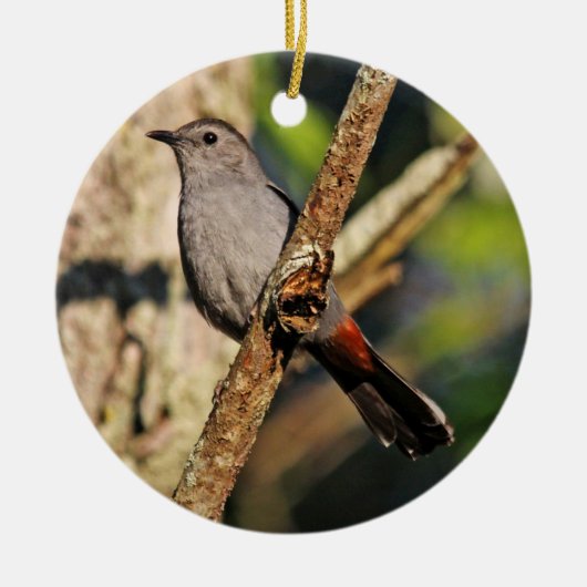 Gray Catbird Ornament (Voorkant)