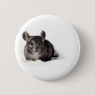 Gray Chinchilla Cute in Blanket Ronde Button 5,7 Cm
