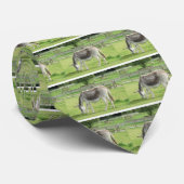 Gray Donkey Stropdas (Opgerold)