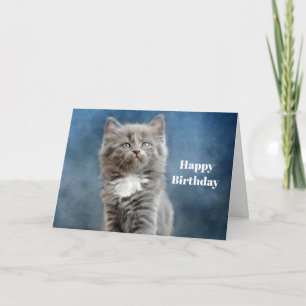 Gray en White Kitten Photo Birthday Kaart